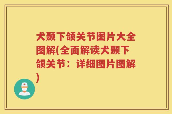 犬颞下颌关节图片大全图解(全面解读犬颞下颌关节:详细图片图解) 犬颞下颌关节图片大全图解(全面解读犬颞下颌关节:详细图片图解)