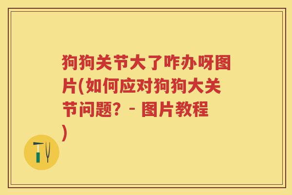 狗狗关节大了咋办呀图片(如何应对狗狗大关节问题？- 图片教程)