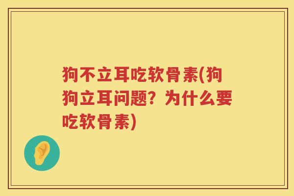 狗不立耳吃软骨素(狗狗立耳问题?为什么要吃软骨素) 狗不立耳吃软骨素(狗狗立耳问题?为什么要吃软骨素)
