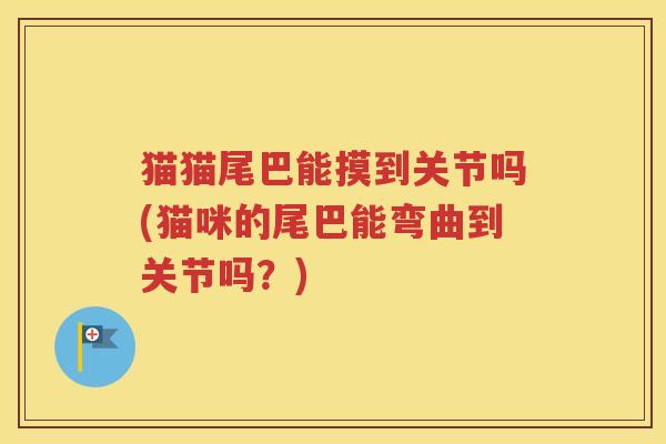猫猫尾巴能摸到关节吗(猫咪的尾巴能弯曲到关节吗？)