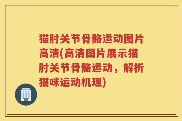 猫肘关节骨骼运动图片高清(高清图片展示猫肘关节骨骼运动,解析猫咪运动机理) 猫肘关节骨骼运动图片高清(高清图片展示猫肘关节骨骼运动,解析猫咪运动机理)