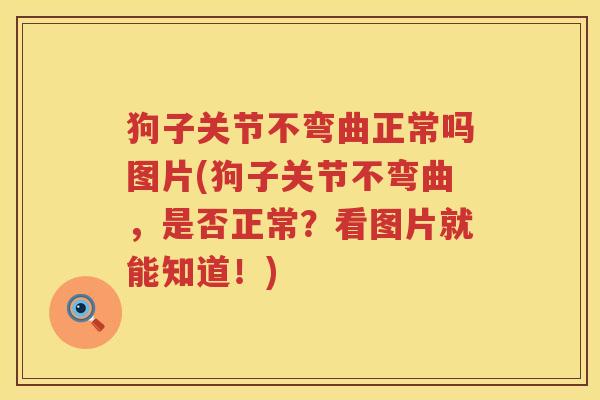 狗子关节不弯曲正常吗图片(狗子关节不弯曲,是否正常?看图片就能知道!) 狗子关节不弯曲正常吗图片(狗子关节不弯曲,是否正常?看图片就能知道!)