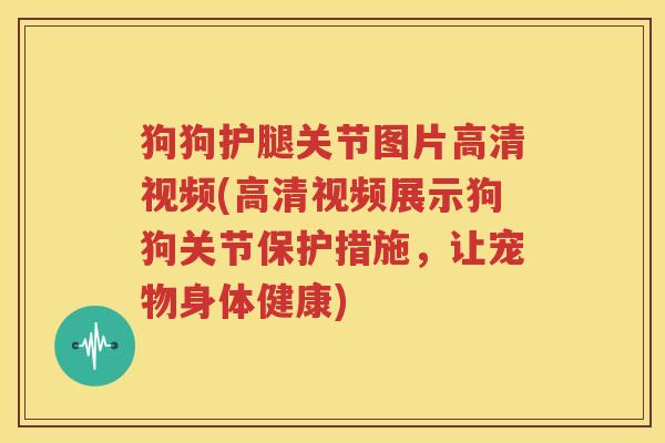狗狗护腿关节图片高清视频(高清视频展示狗狗关节保护措施，让宠物身体健康)