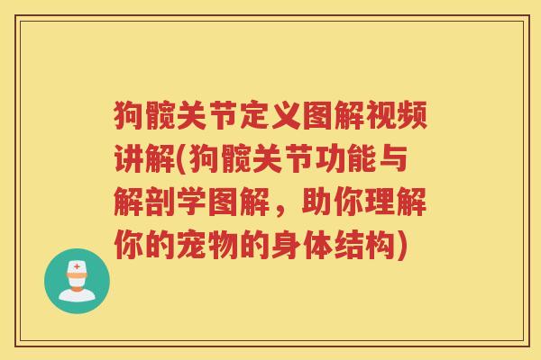 狗髋关节定义图解视频讲解(狗髋关节功能与解剖学图解,助你理解你的宠物的身体结构) 狗髋关节定义图解视频讲解(狗髋关节功能与解剖学图解,助你理解你的宠物的身体结构)