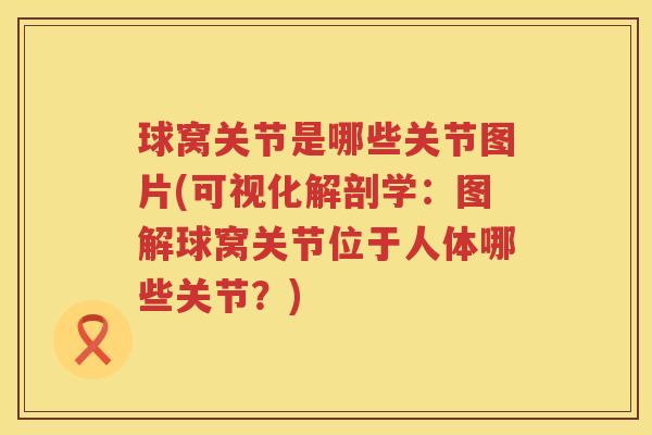 球窝关节是哪些关节图片(可视化解剖学：图解球窝关节位于人体哪些关节？)