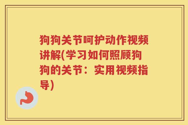 狗狗关节呵护动作视频讲解(学习如何照顾狗狗的关节:实用视频指导) 狗狗关节呵护动作视频讲解(学习如何照顾狗狗的关节:实用视频指导)