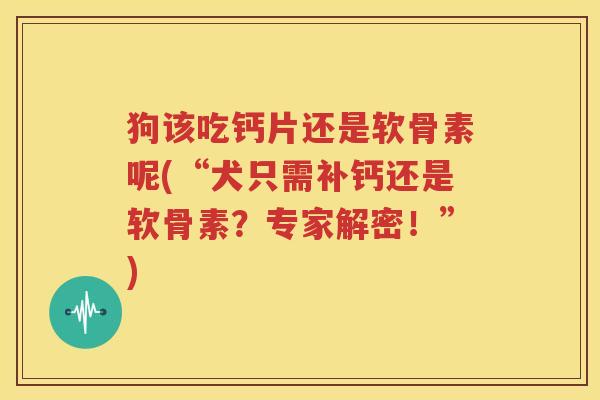 狗该吃钙片还是软骨素呢(“犬只需补钙还是软骨素?专家解密!”) 狗该吃钙片还是软骨素呢(“犬只需补钙还是软骨素?专家解密!”)
