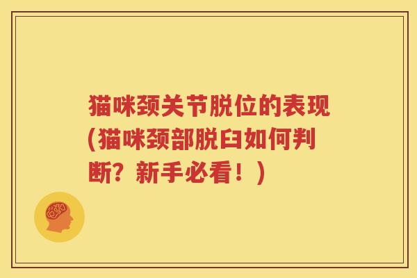 猫咪颈关节脱位的表现(猫咪颈部脱臼如何判断?新手必看!) 猫咪颈关节脱位的表现(猫咪颈部脱臼如何判断?新手必看!)