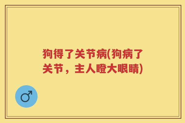 狗得了关节(狗了关节,主人瞪大眼睛) 狗得了关节(狗了关节,主人瞪大眼睛)