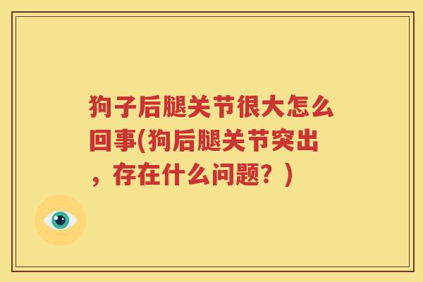 狗子后腿关节很大怎么回事(狗后腿关节突出,存在什么问题?) 狗子后腿关节很大怎么回事(狗后腿关节突出,存在什么问题?)