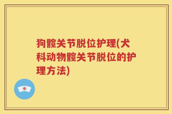 狗髋关节脱位护理(犬科动物髋关节脱位的护理方法) 狗髋关节脱位护理(犬科动物髋关节脱位的护理方法)
