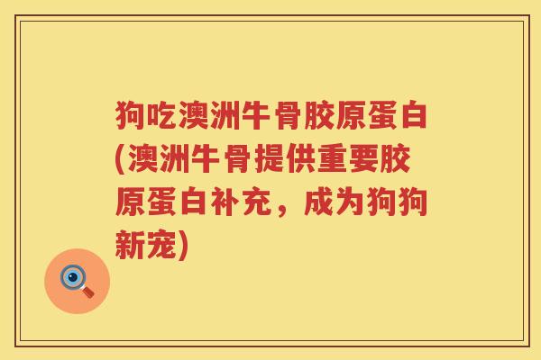 狗吃澳洲牛骨胶原蛋白(澳洲牛骨提供重要胶原蛋白补充,成为狗狗新宠) 狗吃澳洲牛骨胶原蛋白(澳洲牛骨提供重要胶原蛋白补充,成为狗狗新宠)