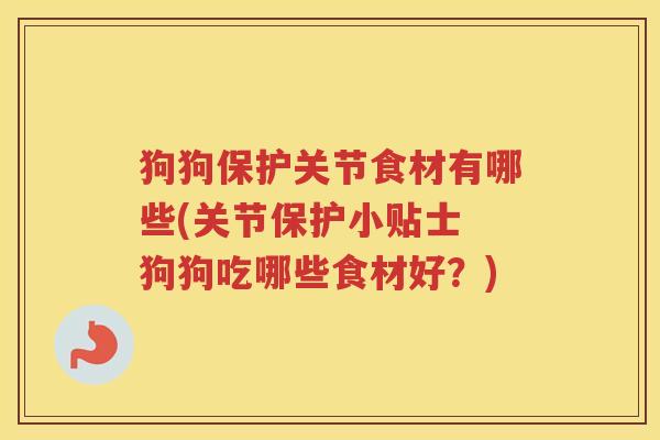 狗狗保护关节食材有哪些(关节保护小贴士 狗狗吃哪些食材好？)