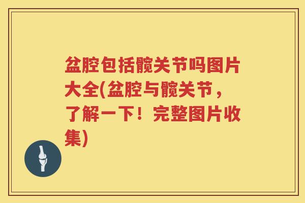 盆腔包括髋关节吗图片大全(盆腔与髋关节,了解一下!完整图片收集) 盆腔包括髋关节吗图片大全(盆腔与髋关节,了解一下!完整图片收集)