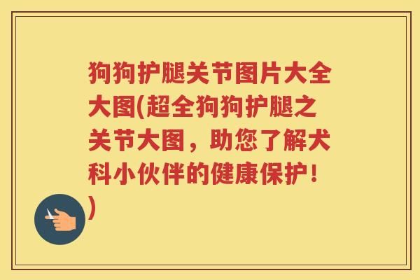 狗狗护腿关节图片大全大图(超全狗狗护腿之关节大图,助您了解犬科小伙伴的健康保护!) 狗狗护腿关节图片大全大图(超全狗狗护腿之关节大图,助您了解犬科小伙伴的健康保护!)