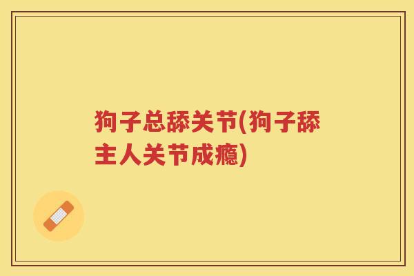 狗子总舔关节(狗子舔主人关节成瘾) 狗子总舔关节(狗子舔主人关节成瘾)