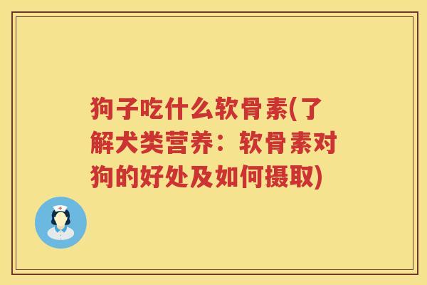 狗子吃什么软骨素(了解犬类营养：软骨素对狗的好处及如何摄取)
