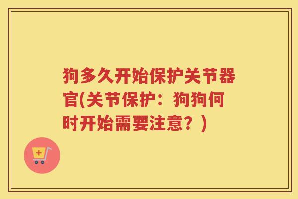 狗多久开始保护关节器官(关节保护：狗狗何时开始需要注意？)
