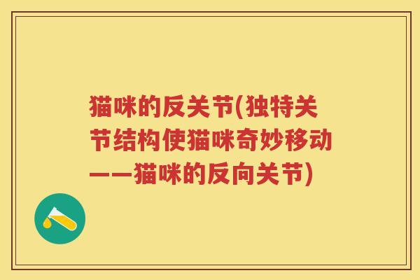 猫咪的反关节(独特关节结构使猫咪奇妙移动——猫咪的反向关节) 猫咪的反关节(独特关节结构使猫咪奇妙移动——猫咪的反向关节)