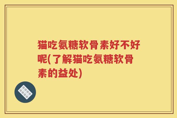 猫吃氨糖软骨素好不好呢(了解猫吃氨糖软骨素的益处)