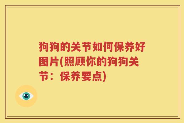 狗狗的关节如何保养好图片(照顾你的狗狗关节:保养要点) 狗狗的关节如何保养好图片(照顾你的狗狗关节:保养要点)