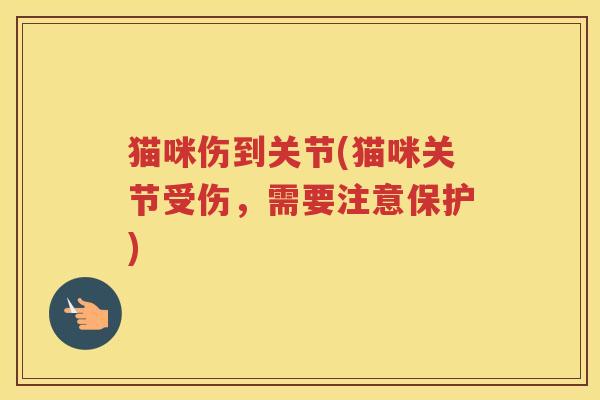 猫咪伤到关节(猫咪关节受伤,需要注意保护) 猫咪伤到关节(猫咪关节受伤,需要注意保护)