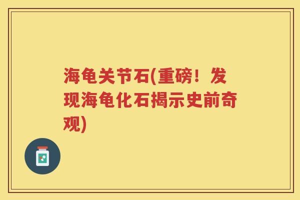海龟关节石(重磅!发现海龟化石揭示史前奇观) 海龟关节石(重磅!发现海龟化石揭示史前奇观)