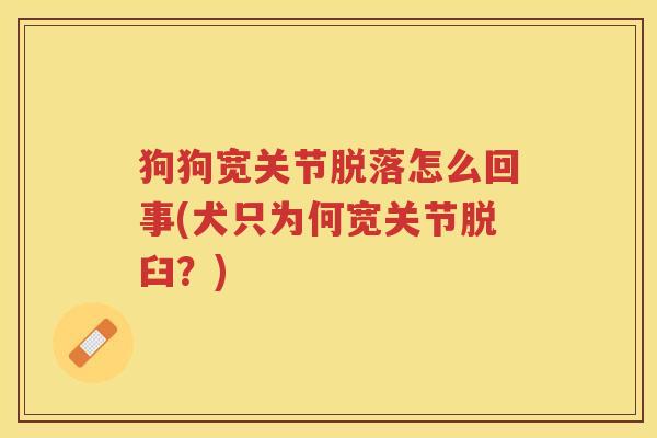 狗狗宽关节脱落怎么回事(犬只为何宽关节脱臼?) 狗狗宽关节脱落怎么回事(犬只为何宽关节脱臼?)