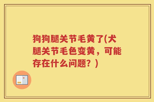 狗狗腿关节毛黄了(犬腿关节毛色变黄,可能存在什么问题?) 狗狗腿关节毛黄了(犬腿关节毛色变黄,可能存在什么问题?)