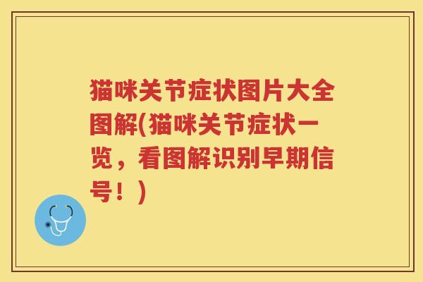 猫咪关节症状图片大全图解(猫咪关节症状一览,看图解识别早期信号!) 猫咪关节症状图片大全图解(猫咪关节症状一览,看图解识别早期信号!)