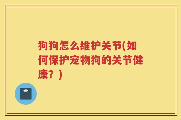 狗狗怎么维护关节(如何保护宠物狗的关节健康？)