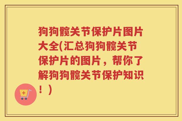 狗狗髋关节保护片图片大全(汇总狗狗髋关节保护片的图片,帮你了解狗狗髋关节保护知识!) 狗狗髋关节保护片图片大全(汇总狗狗髋关节保护片的图片,帮你了解狗狗髋关节保护知识!)