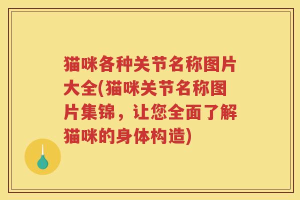 猫咪各种关节名称图片大全(猫咪关节名称图片集锦，让您全面了解猫咪的身体构造)