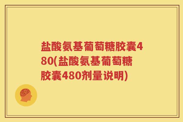 盐酸氨基葡萄糖胶囊480(盐酸氨基葡萄糖胶囊480剂量说明)