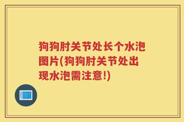 狗狗肘关节处长个水泡图片(狗狗肘关节处出现水泡需注意!) 狗狗肘关节处长个水泡图片(狗狗肘关节处出现水泡需注意!)