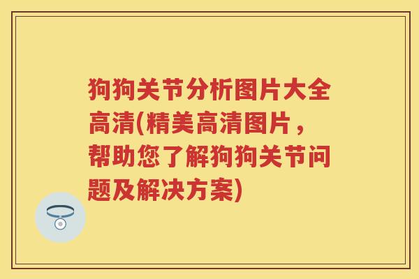 狗狗关节分析图片大全高清(精美高清图片,帮助您了解狗狗关节问题及解决方案) 狗狗关节分析图片大全高清(精美高清图片,帮助您了解狗狗关节问题及解决方案)