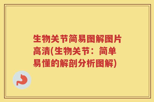 生物关节简易图解图片高清(生物关节:简单易懂的解剖分析图解) 生物关节简易图解图片高清(生物关节:简单易懂的解剖分析图解)