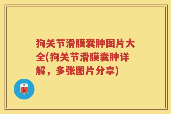 狗关节滑膜囊肿图片大全(狗关节滑膜囊肿详解,多张图片分享) 狗关节滑膜囊肿图片大全(狗关节滑膜囊肿详解,多张图片分享)