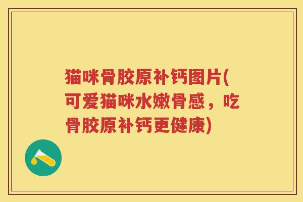 猫咪骨胶原补钙图片(可爱猫咪水嫩骨感，吃骨胶原补钙更健康)