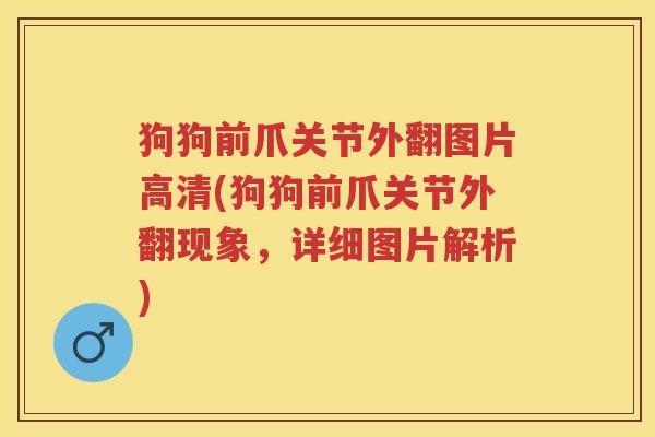 狗狗前爪关节外翻图片高清(狗狗前爪关节外翻现象,详细图片解析) 狗狗前爪关节外翻图片高清(狗狗前爪关节外翻现象,详细图片解析)