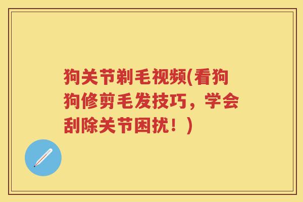 狗关节剃毛视频(看狗狗修剪毛发技巧,学会刮除关节困扰!) 狗关节剃毛视频(看狗狗修剪毛发技巧,学会刮除关节困扰!)