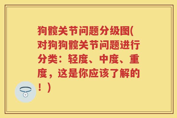 狗髋关节问题分级图(对狗狗髋关节问题进行分类:轻度、中度、重度,这是你应该了解的!) 狗髋关节问题分级图(对狗狗髋关节问题进行分类:轻度、中度、重度,这是你应该了解的!)