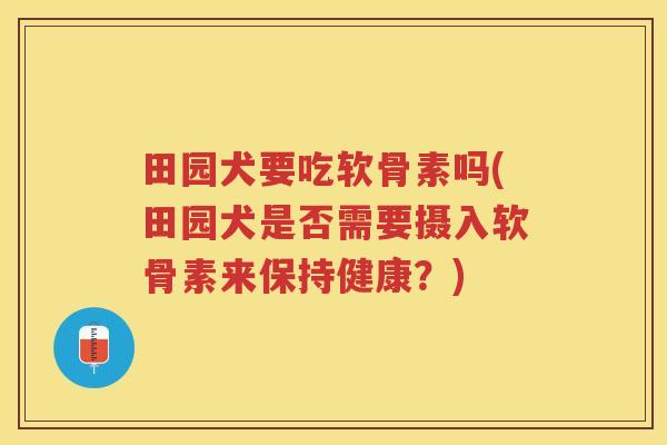 田园犬要吃软骨素吗(田园犬是否需要摄入软骨素来保持健康?) 田园犬要吃软骨素吗(田园犬是否需要摄入软骨素来保持健康?)