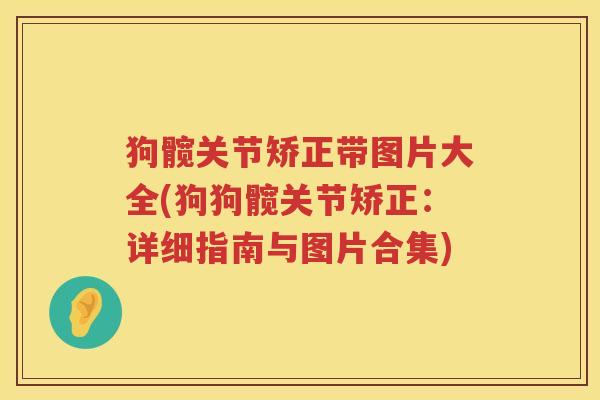 狗髋关节矫正带图片大全(狗狗髋关节矫正:详细指南与图片合集) 狗髋关节矫正带图片大全(狗狗髋关节矫正:详细指南与图片合集)