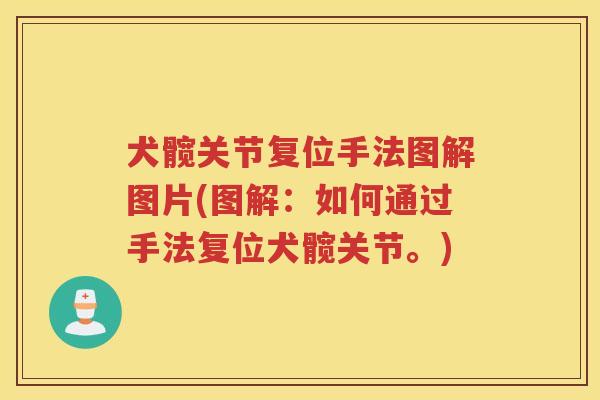 犬髋关节复位手法图解图片(图解:如何通过手法复位犬髋关节。) 犬髋关节复位手法图解图片(图解:如何通过手法复位犬髋关节。)