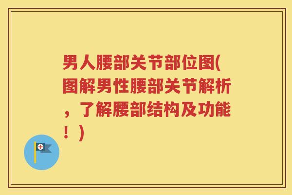 男人腰部关节部位图(图解男性腰部关节解析,了解腰部结构及功能!) 男人腰部关节部位图(图解男性腰部关节解析,了解腰部结构及功能!)