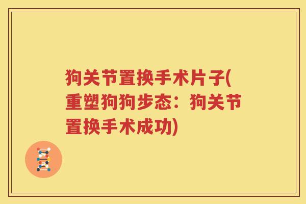 狗关节置换手术片子(重塑狗狗步态:狗关节置换手术成功) 狗关节置换手术片子(重塑狗狗步态:狗关节置换手术成功)