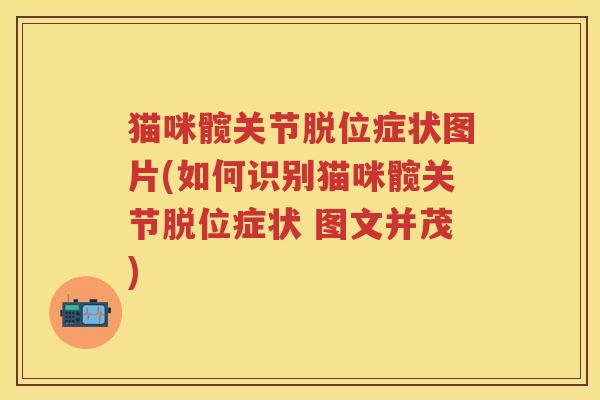 猫咪髋关节脱位症状图片(如何识别猫咪髋关节脱位症状 图文并茂) 猫咪髋关节脱位症状图片(如何识别猫咪髋关节脱位症状 图文并茂)