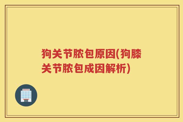 狗关节脓包原因(狗膝关节脓包成因解析)
