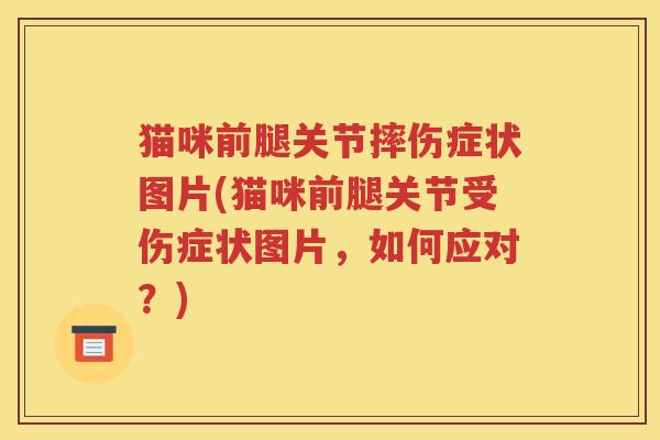 猫咪前腿关节摔伤症状图片(猫咪前腿关节受伤症状图片，如何应对？)